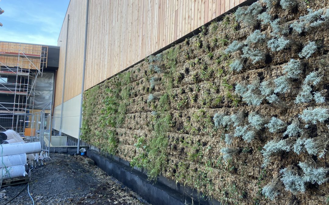Comment fonctionne un mur végétal ?